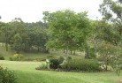 Roger Riverresidential-landscaping-40.jpg; ?>